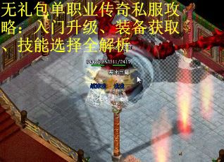 无礼包单职业传奇私服攻略：入门升级、装备获取、技能选择全解析
