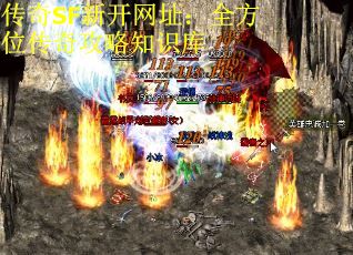 传奇SF新开网址：全方位传奇攻略知识库