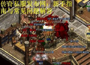 传奇私服发布网：新手指南与常见问题解答