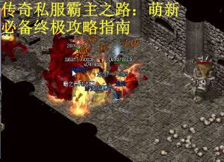传奇私服霸主之路：萌新必备终极攻略指南