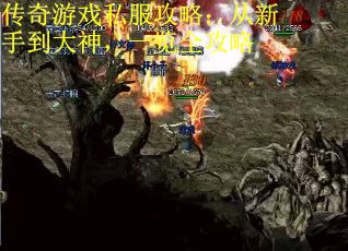 传奇游戏私服攻略：从新手到大神，一览全攻略