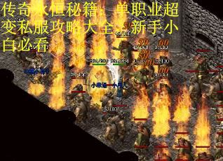 传奇永恒秘籍：单职业超变私服攻略大全，新手小白必看