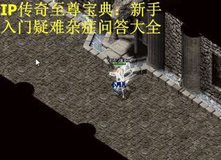 IP传奇至尊宝典：新手入门疑难杂症问答大全