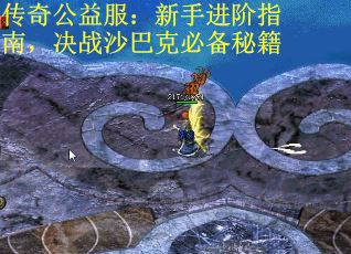 传奇公益服：新手进阶指南，决战沙巴克必备秘籍