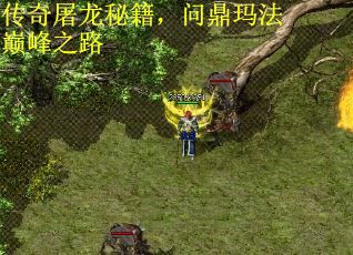 传奇屠龙秘籍，问鼎玛法巅峰之路