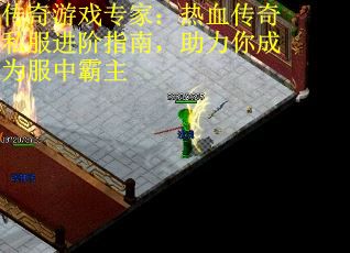 传奇游戏专家：热血传奇私服进阶指南，助力你成为服中霸主