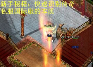 新手秘籍：快速识别传奇私服国际服的本质