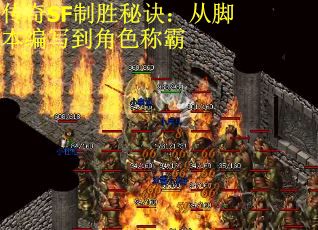 传奇SF制胜秘诀：从脚本编写到角色称霸