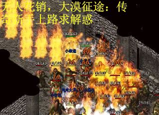 无人花销，大漠征途：传奇新手上路求解惑