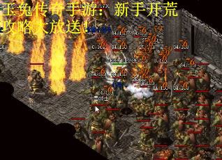 玉兔传奇手游：新手开荒攻略大放送！
