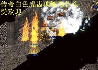 传奇白色虎齿项链为什么受欢迎