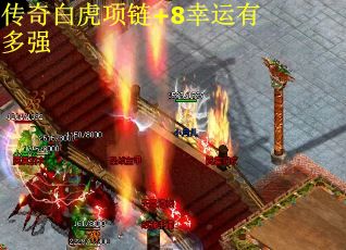 传奇白虎项链+8幸运有多强