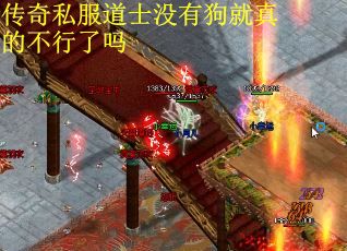 传奇私服道士没有狗就真的不行了吗