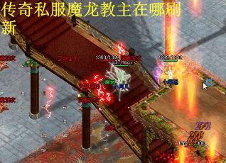 传奇私服魔龙教主在哪刷新