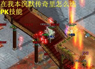 在我本沉默传奇里怎么选PK技能
