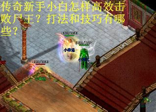 传奇新手小白怎样高效击败尸王？打法和技巧有哪些？