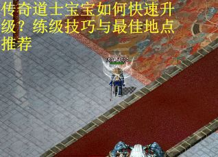 传奇道士宝宝如何快速升级？练级技巧与最佳地点推荐