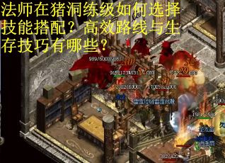 法师在猪洞练级如何选择技能搭配？高效路线与生存技巧有哪些？