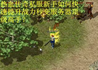 热血传奇私服新手如何快速提升战力秒变服务器顶级高手？