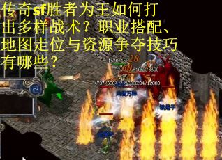 传奇sf胜者为王如何打出多样战术？职业搭配、地图走位与资源争夺技巧有哪些？