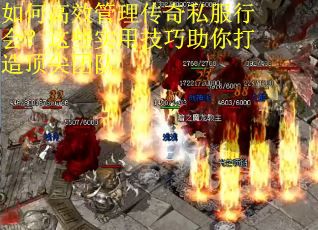 如何高效管理传奇私服行会？这些实用技巧助你打造顶尖团队
