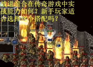 战道组合在传奇游戏中实战能力如何？新手玩家适合选择这个搭配吗？