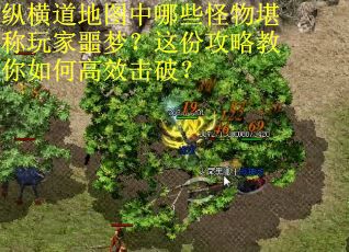纵横道地图中哪些怪物堪称玩家噩梦？这份攻略教你如何高效击破？
