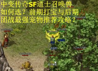 中变传奇SF道士召唤兽如何选？前期打宝与后期团战最强宠物推荐攻略？