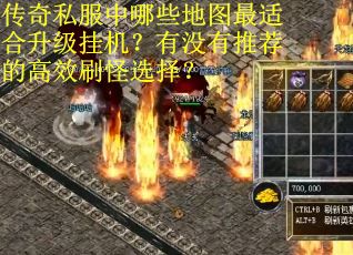 传奇私服中哪些地图最适合升级挂机？有没有推荐的高效刷怪选择？