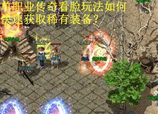 单职业传奇看脸玩法如何快速获取稀有装备？