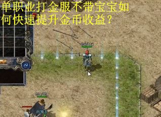 单职业打金服不带宝宝如何快速提升金币收益？