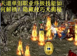 天道单泪职业终极技能如何解锁？隐藏技巧大揭秘