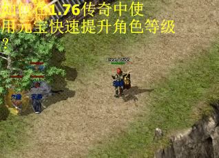 如何在1.76传奇中使用元宝快速提升角色等级？