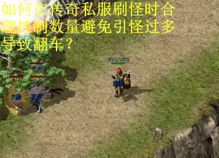 如何在传奇私服刷怪时合理控制数量避免引怪过多导致翻车？
