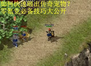 如何快速砸出传奇宠物？零氪党必备技巧大公开