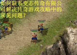 如何联系变态传奇有限公司解决传奇游戏攻略中的常见问题？