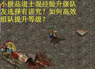 小极品道士混经验升级队友选择有讲究？如何高效组队提升等级？