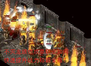 不灭龙族倍攻单职业如何快速提升战力称霸全服? 不灭龙族倍攻单职业如何快速提升战力称霸全服?