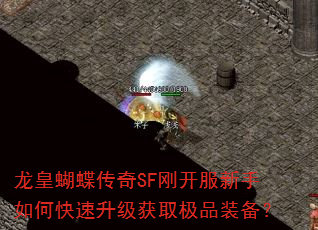 ʺSFտοȡƷװ
