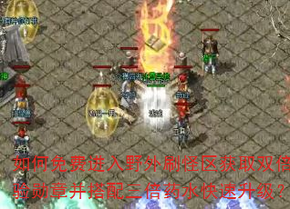 ѽҰˢȡ˫ѫ²ҩˮ