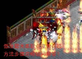 ʰ쵥ְҵٻ蹥ʽ