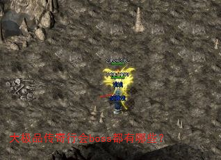 ƷлbossЩ