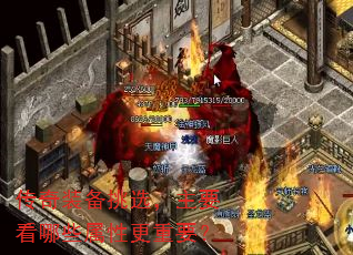 װѡҪЩԸҪ
