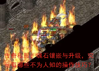 ˽ʯǶЩΪ֪Ĳɣ