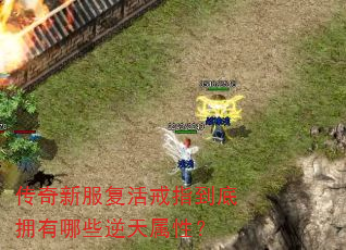 ·ָӵЩԣ