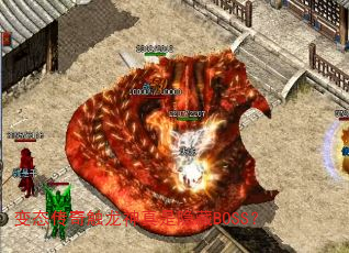 ̬津BOSS