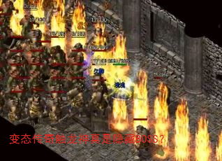 ̬津BOSS