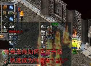 淨ʦθЧٳΪPK