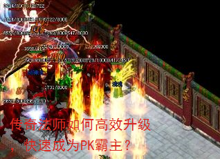 淨ʦθЧٳΪPK