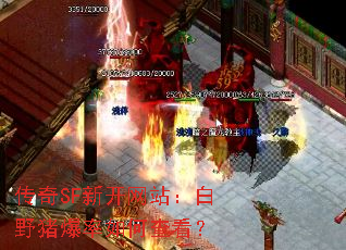 SF¿վҰβ鿴